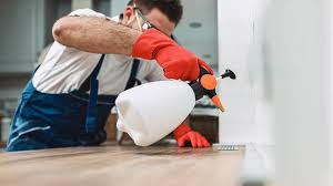 Best Pest Control for Restaurants and Food Service  in Perry, OK